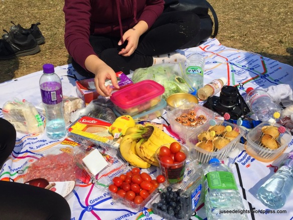 Food; Ngong Ping picnic