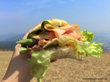 DIYed Sandwich; Ngong Ping picnic