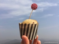 Chocolate chip & poppy seed muffin (photo by Poey); Ngong Ping picnic